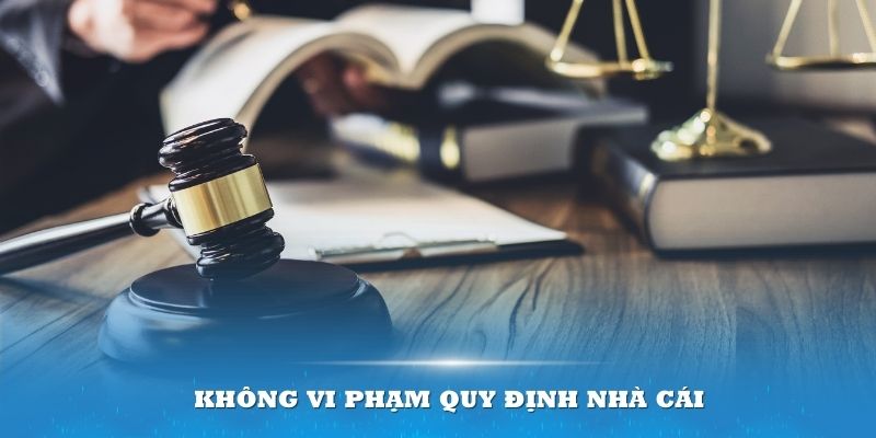 Không vi phạm quy định nhà cái